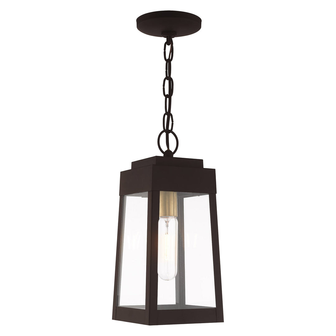 1 Light Bronze Outdoor Pendant Lantern Livex