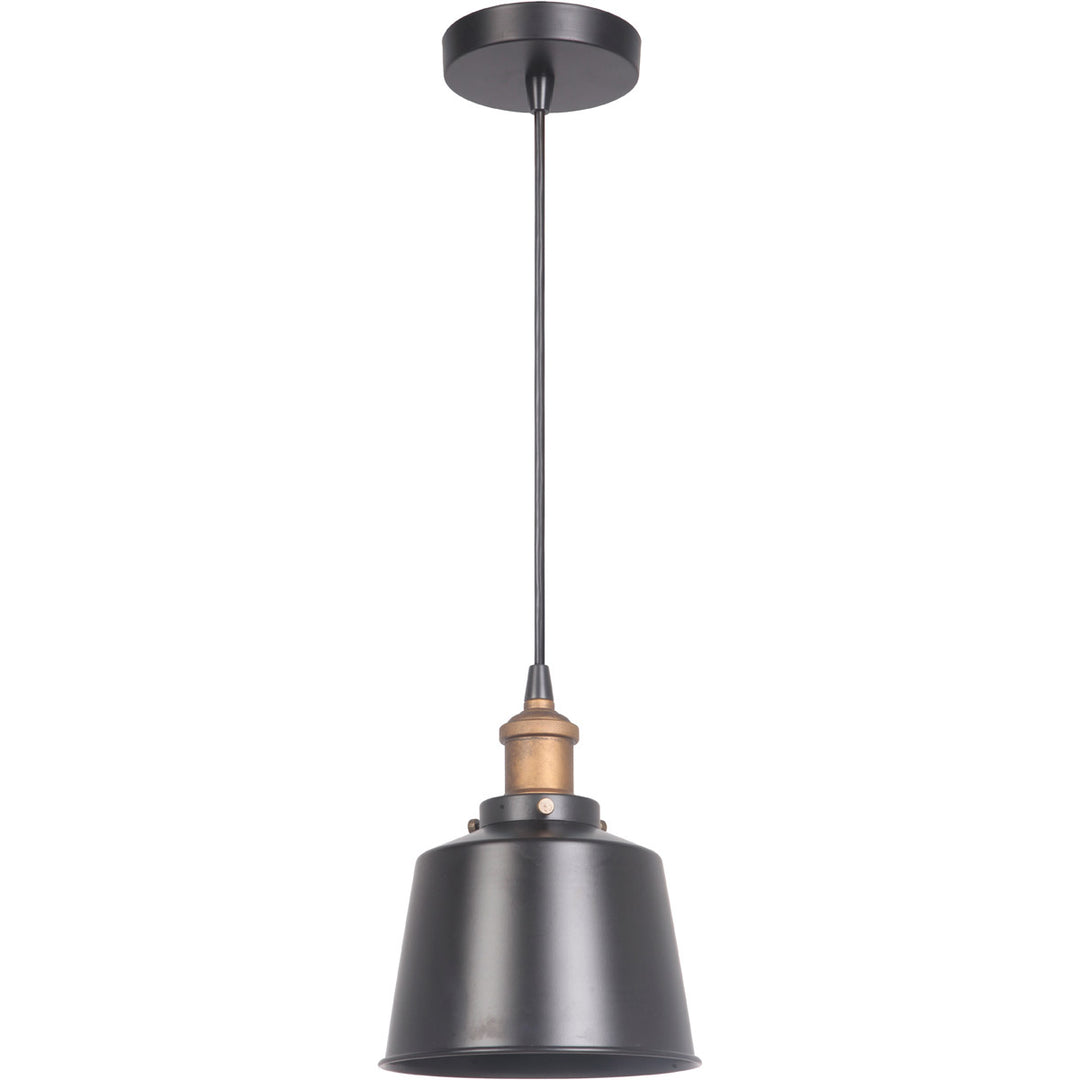 1 Light Mini Pendant in Matte Black/Patina Aged Brass CRAFTMADE