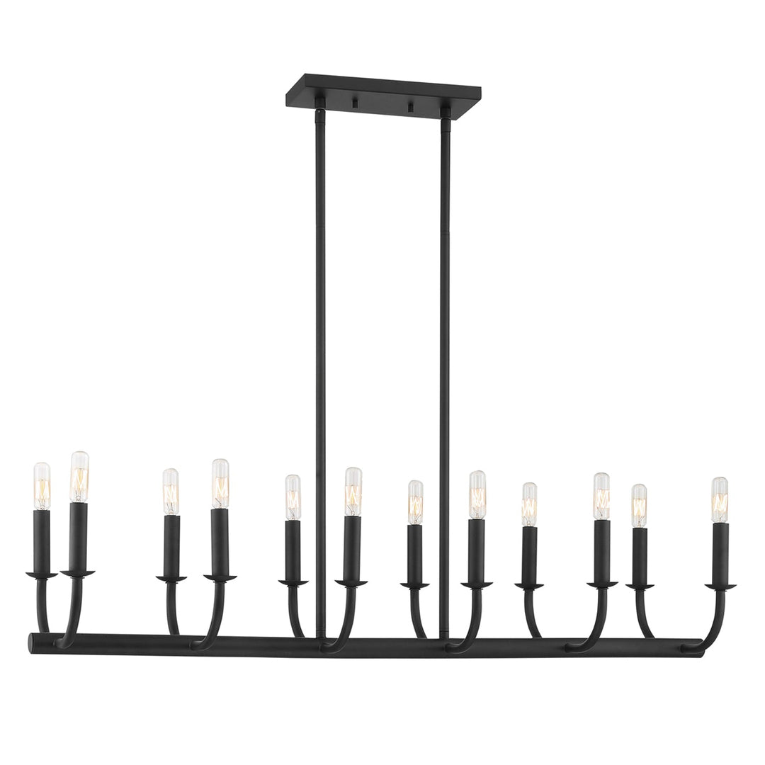 Bailey 12 Light Matte Black Chandelier Crystorama