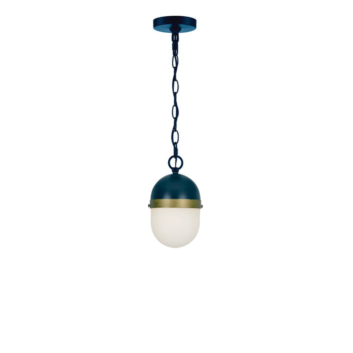 Brian Patrick Flynn Capsule 1 Light Matte Black + Textured Gold Outdoor Pendant Crystorama