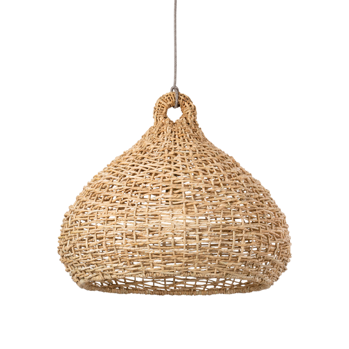 Troy Lighting Lechlan Pendant