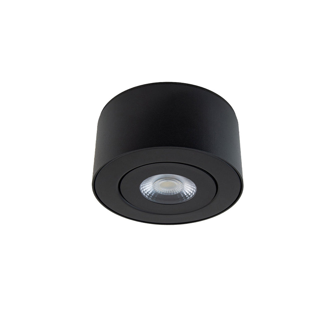 Peek LED Flush Mount