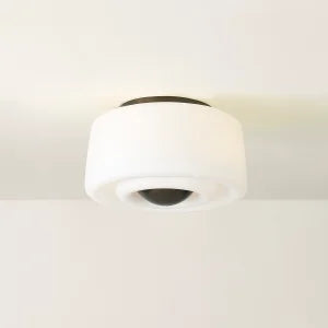 Ciela Flush Mount Mitzi