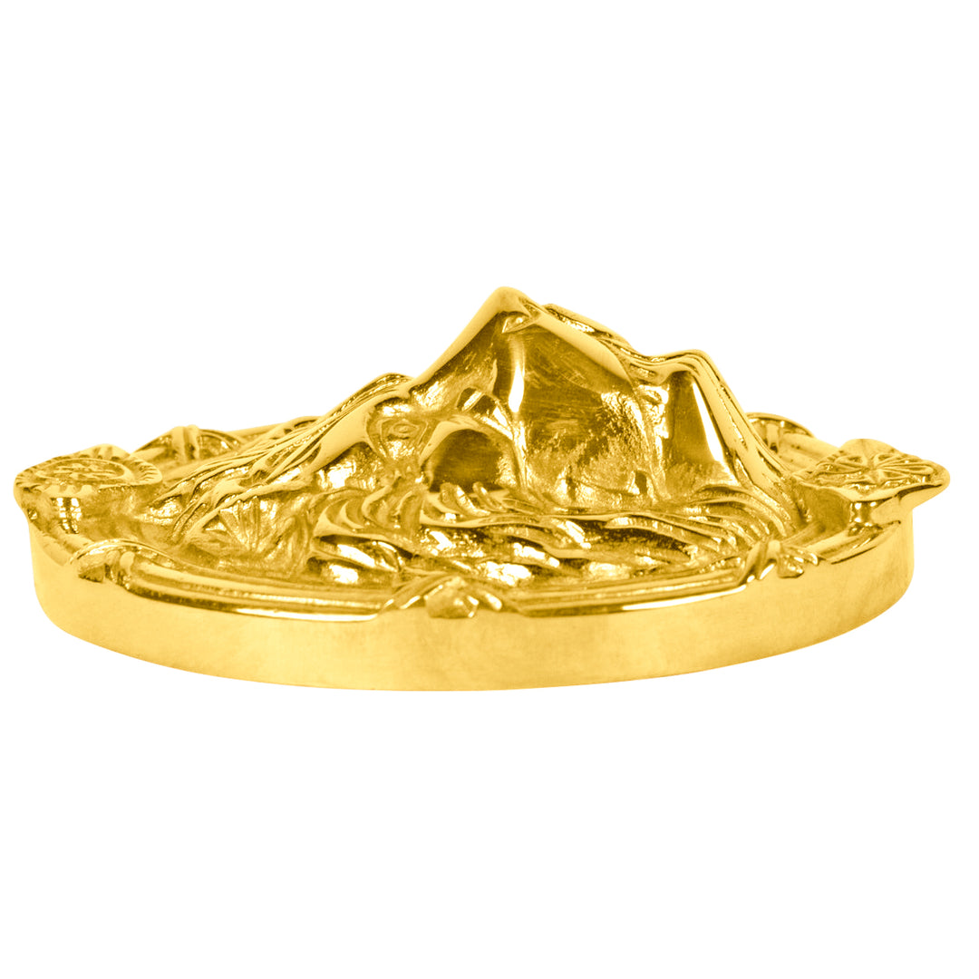 Lion's Head Medallion (Several Finishes Available)