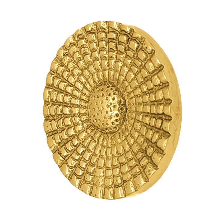 1 1/2 Solid Brass Art Deco Style Round Cabinet and Furniture Knob