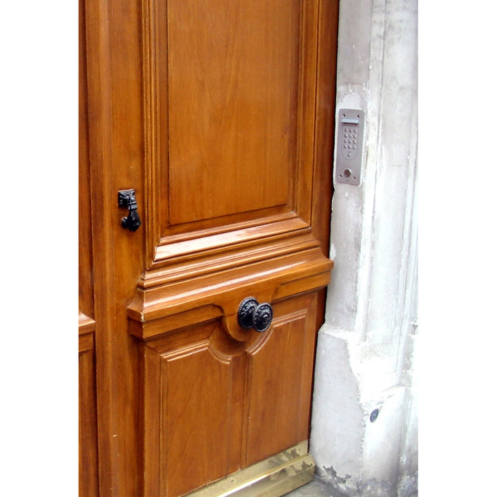 3 1/2 Inch Floral Disc French Oversized Patterned Knob (Several Finishes Available)