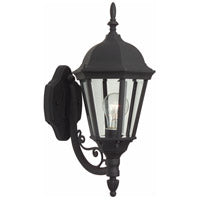 CRAFTMADE Straight Glass Cast 1 Light Small Outdoor Wall Lantern in Textured Black