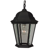 CRAFTMADE Straight Glass Cast 1 Light Outdoor Pendant in Textured Black