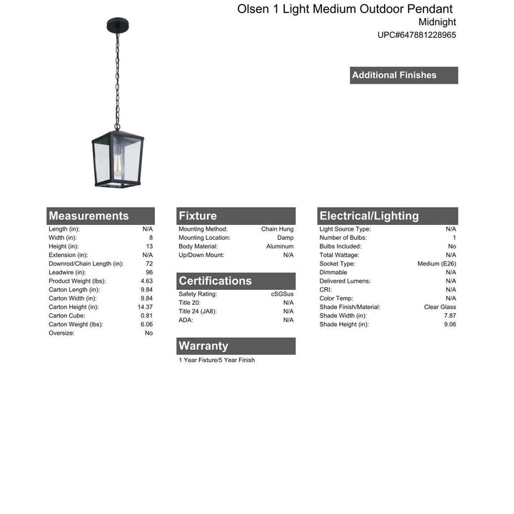 CRAFTMADE Olsen 1 Light Medium Outdoor Pendant in Midnight