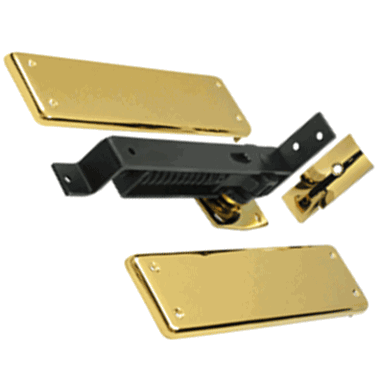 DELTANA Double Action Solid Brass Spring Hinge (PVD Finish)